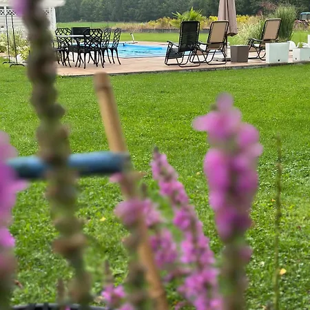 Nowy Z Podgrzewanym Basenem Na Wylacznosc Nyaraló
